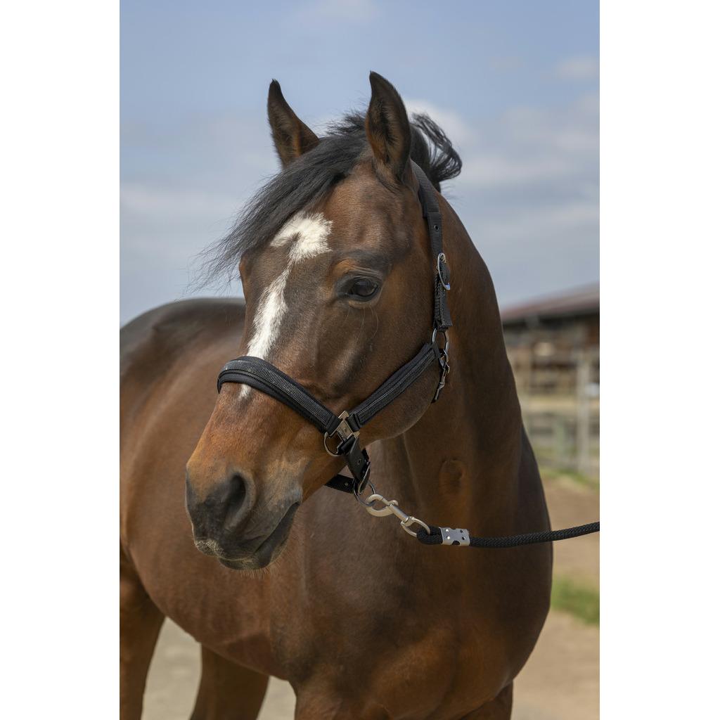 product/e/q/equitheme_510_250_302_ambi.jpg