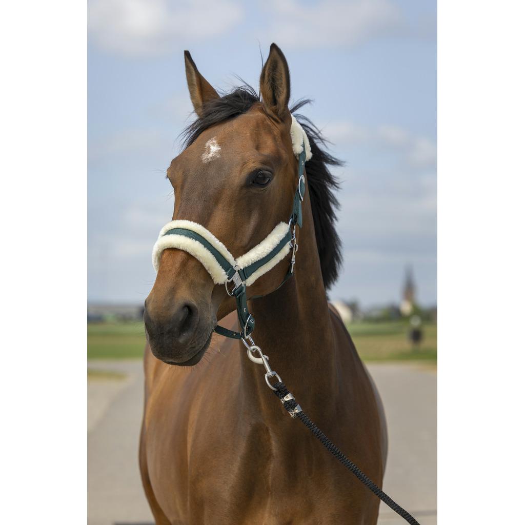 product/e/q/equitheme_510_253_309_ambi.jpg