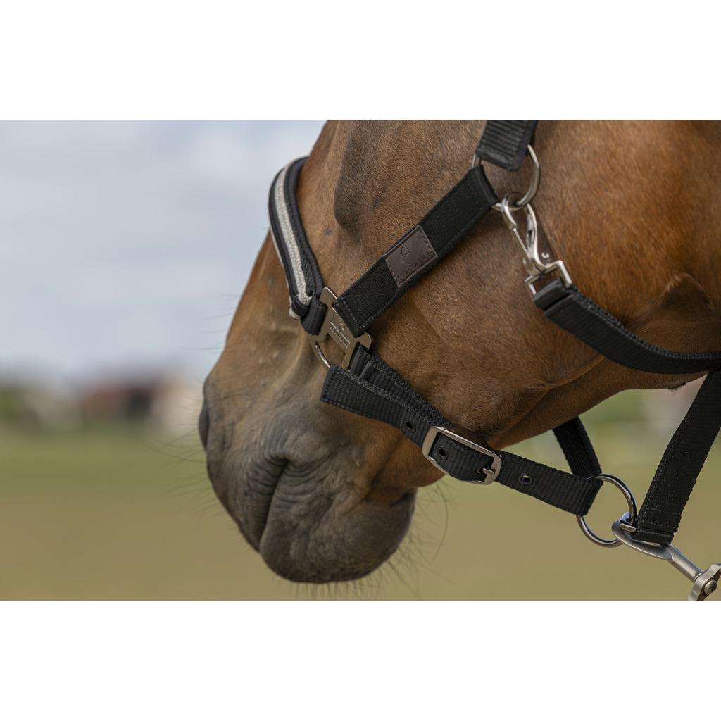 product/e/q/equitheme_510_254_002_ambi_2.jpg