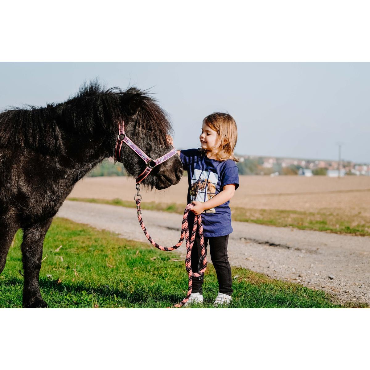 product/e/q/equitheme_963_055_706_ambi2.jpg
