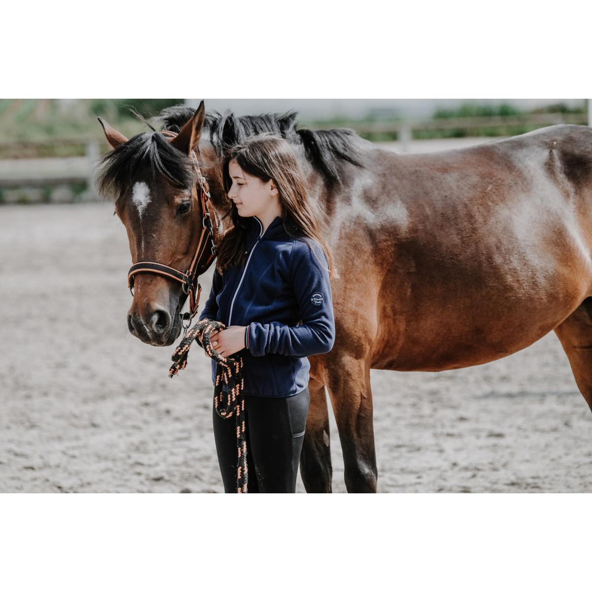 product/e/q/equitheme_964_677_712_ambi2.jpg