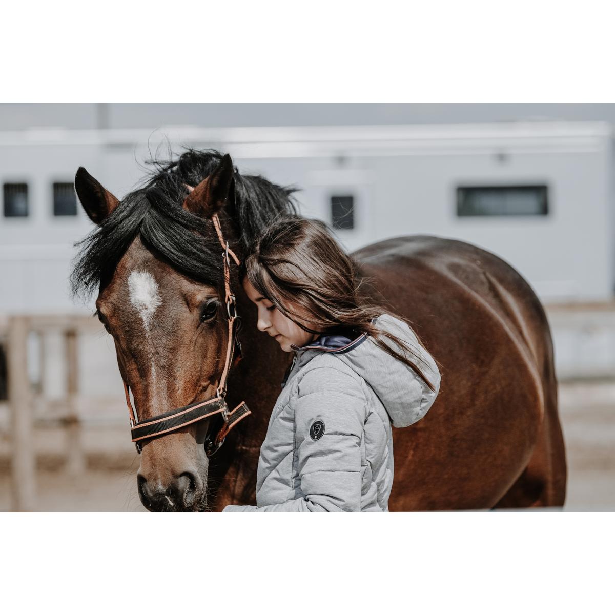 product/e/q/equitheme_978_712_112_ambi2.jpg