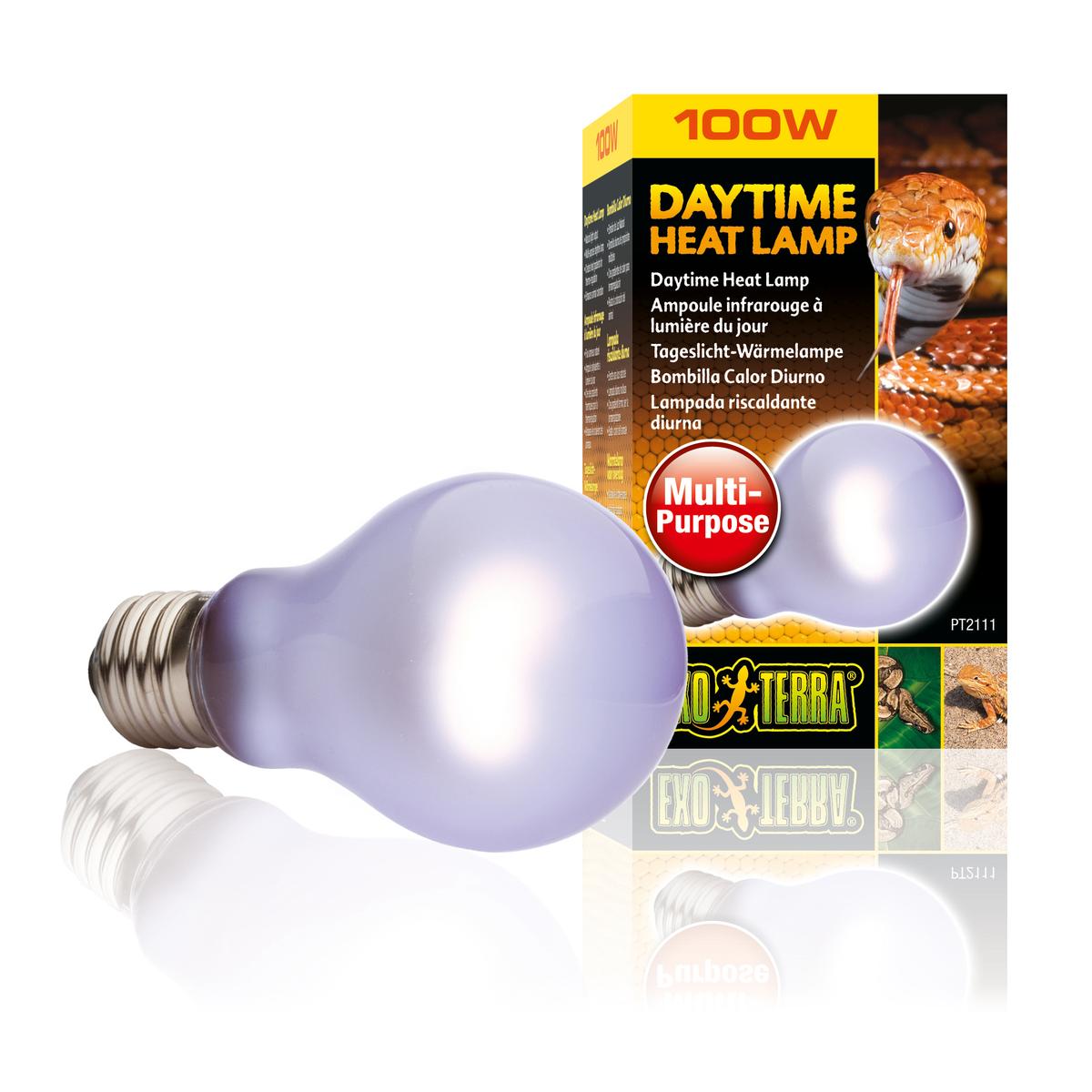 product/e/x/exo-terra_33-pt2111.jpg