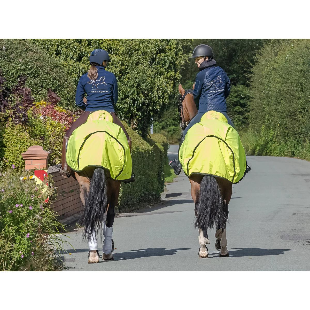 product/f/i/finer-equine_fe005_2.jpg