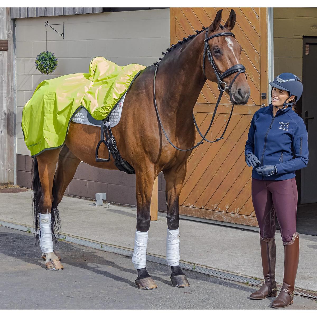product/f/i/finer-equine_fe008_0.jpg