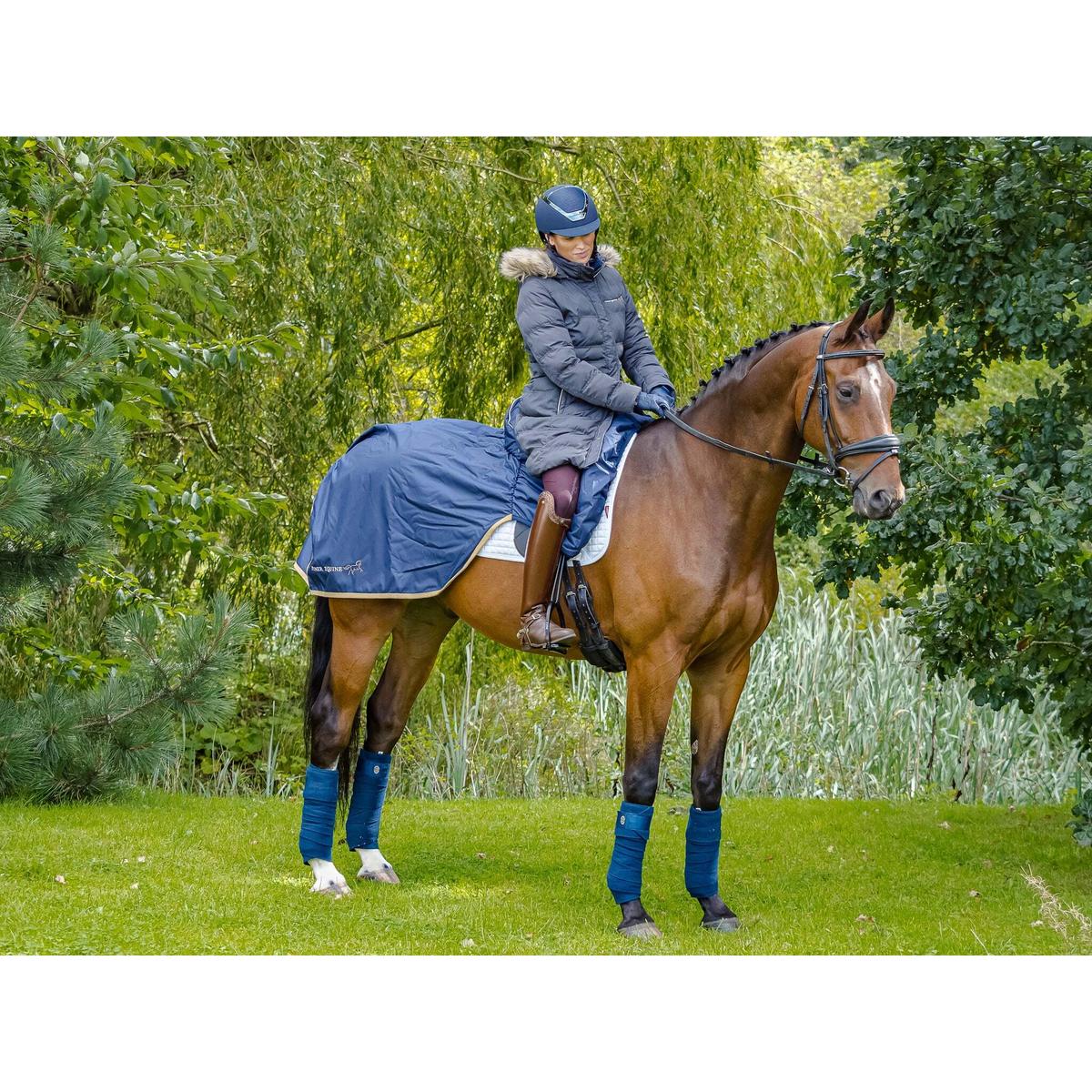 product/f/i/finer-equine_fe014_1.jpg