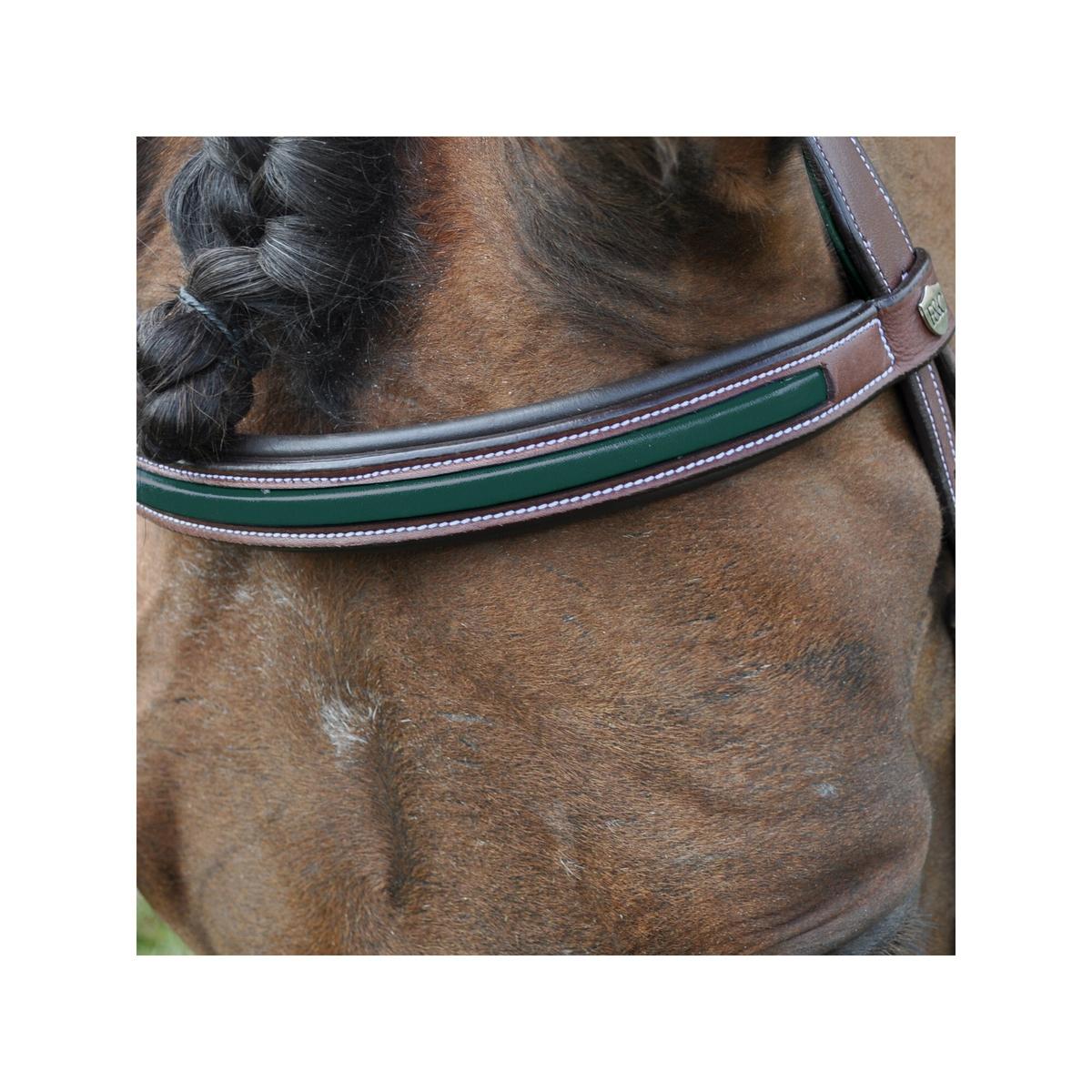 product/f/l/flags-cup_173694-marron-vert_mag4570761_4.jpg