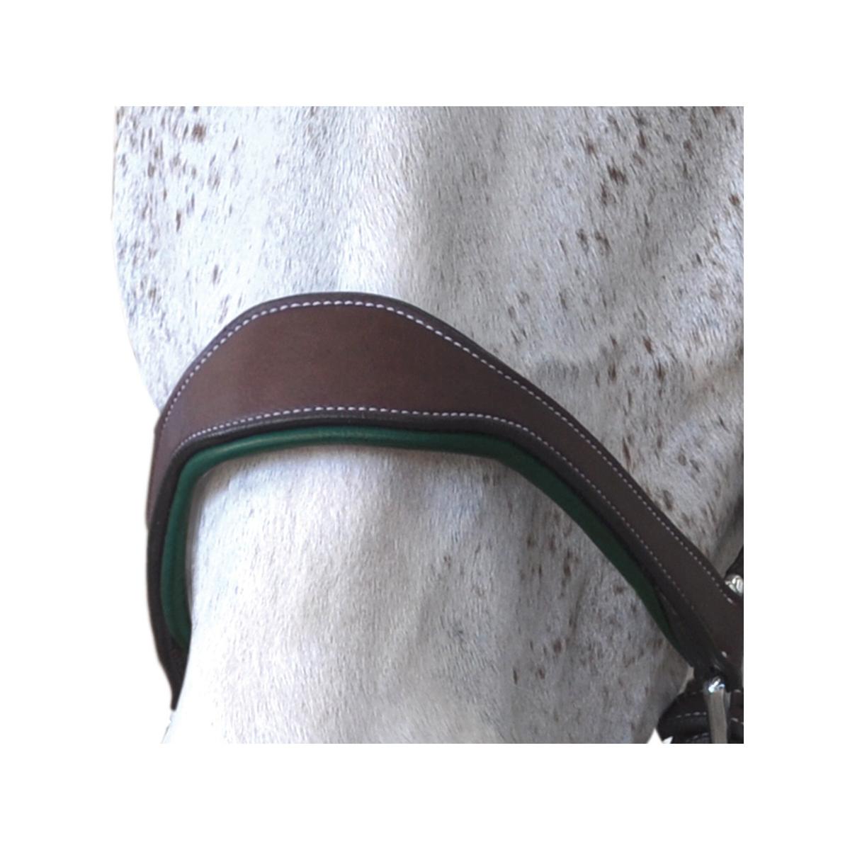 product/f/l/flags-cup_179594-marron-vert_mag4571037_2.jpg