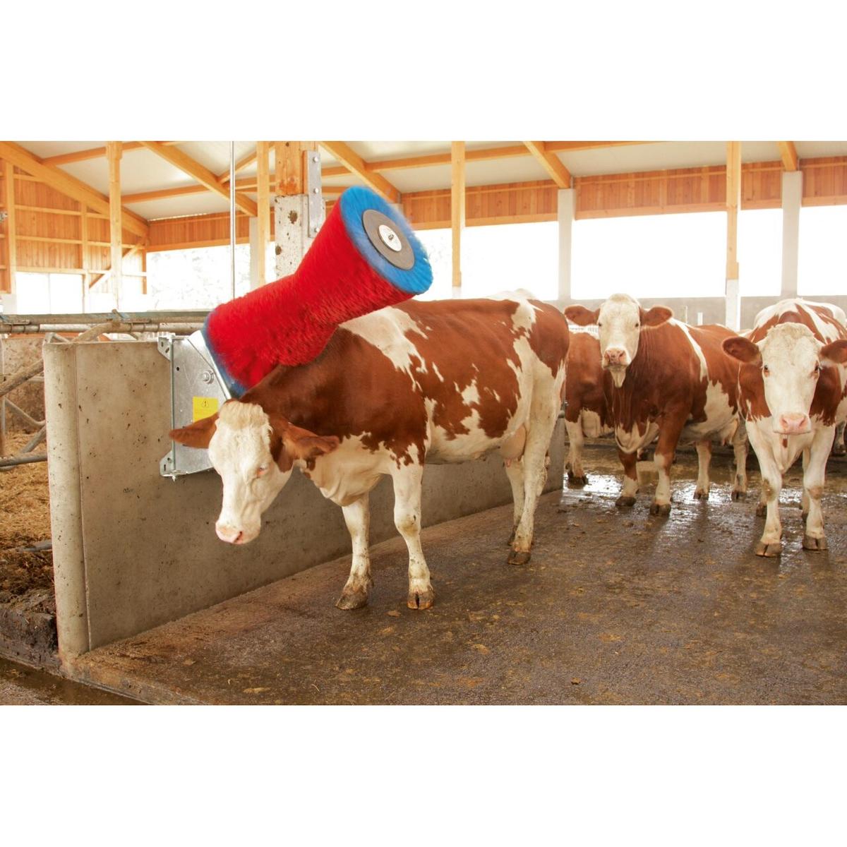product/h/a/happycow_18680_2.jpg