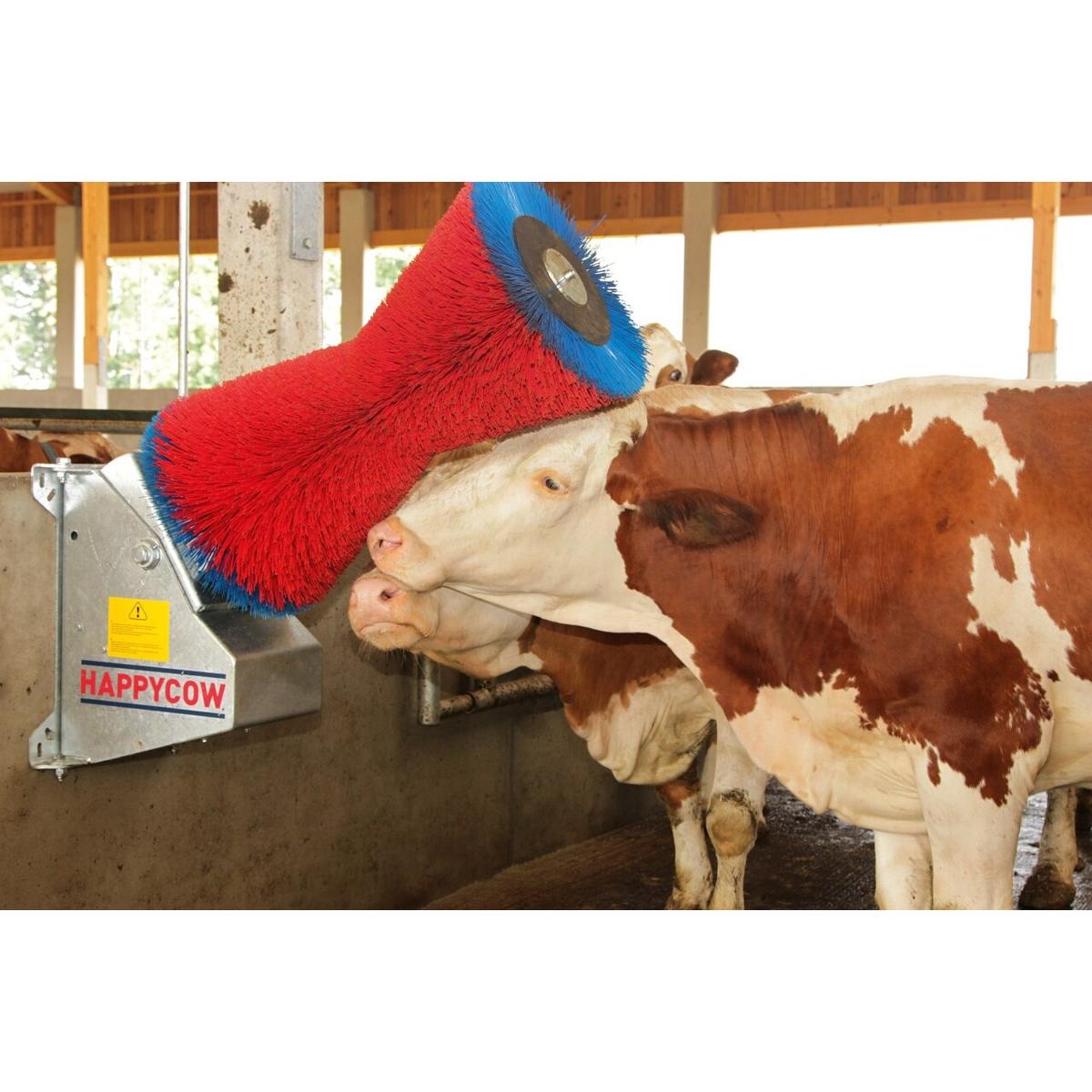 product/h/a/happycow_18680_3.jpg