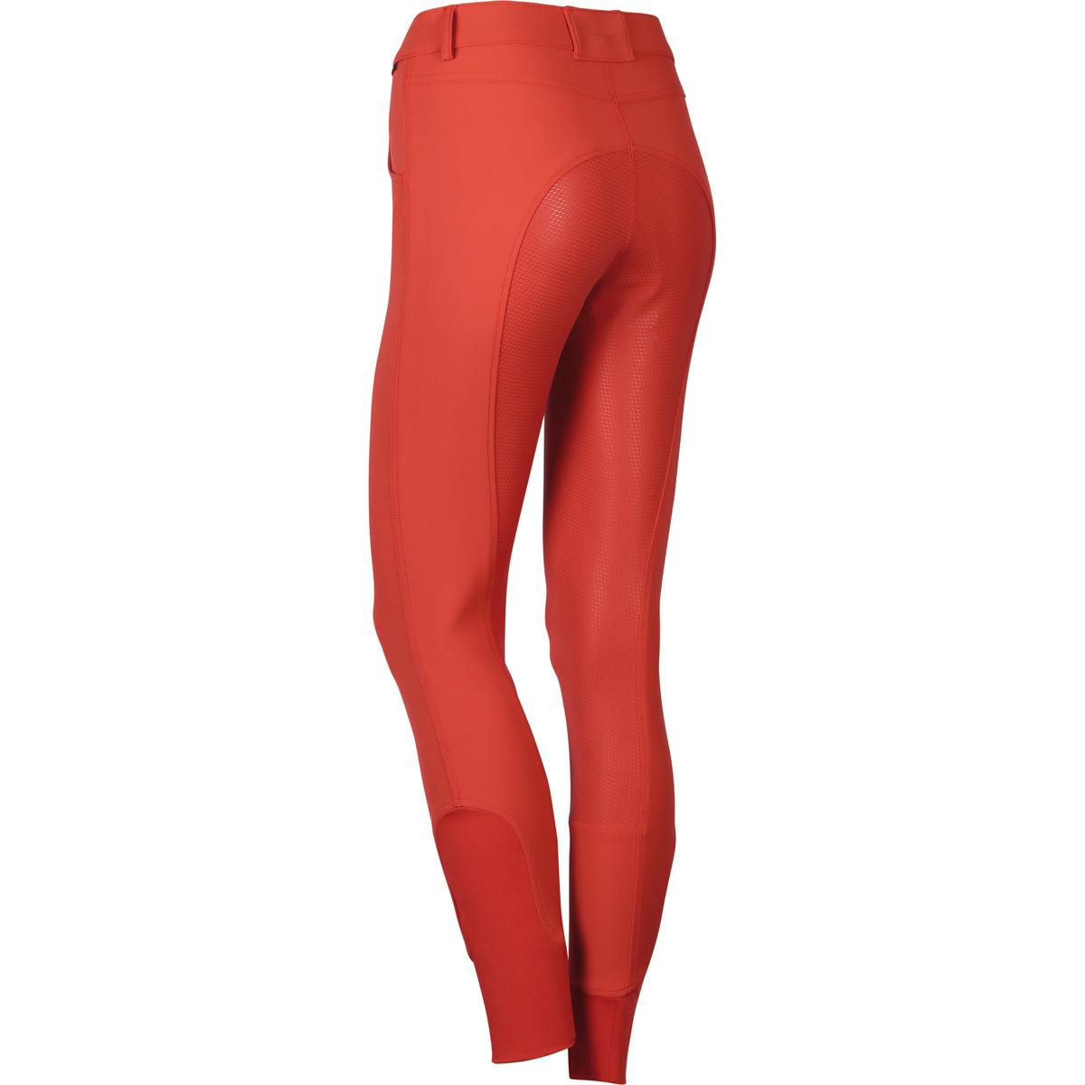 product/h/a/harry-s-horse_26000111-47_1.jpg