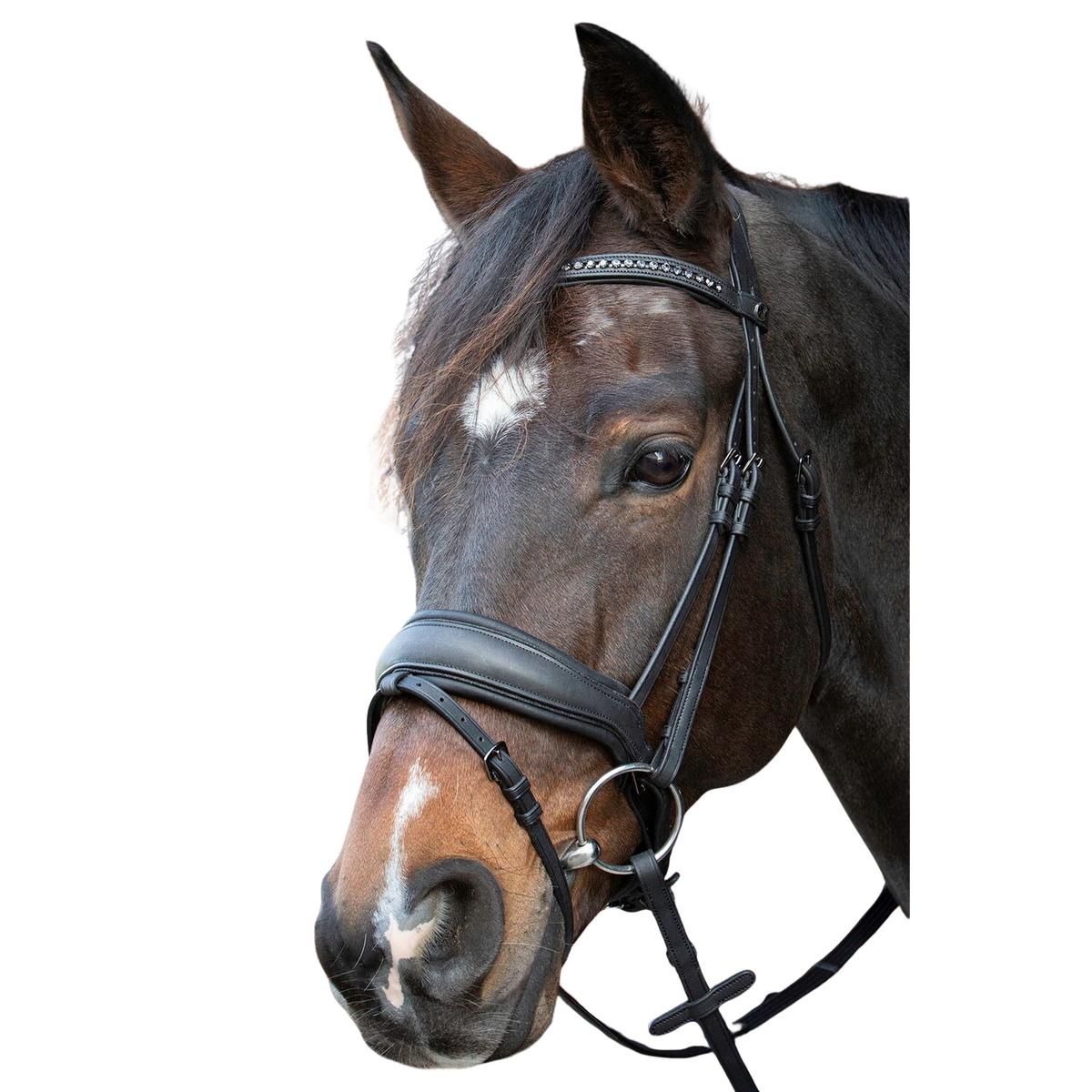 product/h/a/harry-s-horse_28000075-zwart_zwart_1.jpg