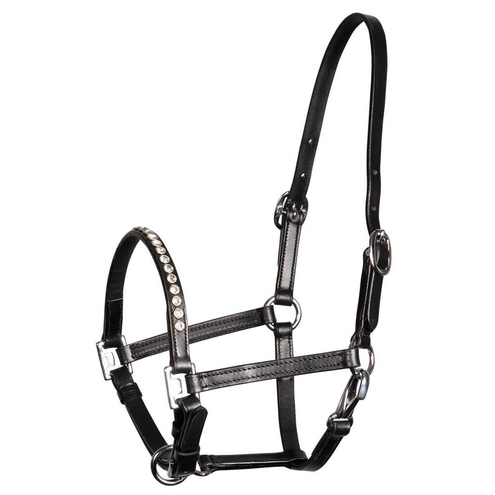 product/h/a/harry-s-horse_28500301_1_2.jpg