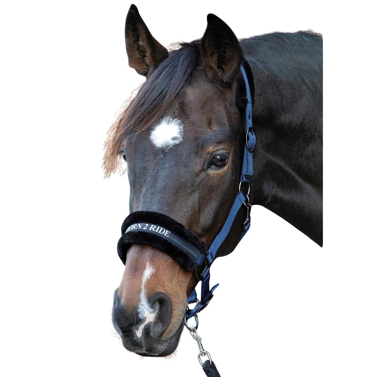 product/h/a/harry-s-horse_31000055-navy_navy_1.jpg