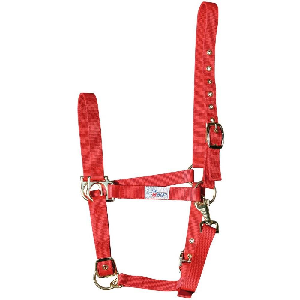product/h/a/harry-s-horse_31000410-02.jpg
