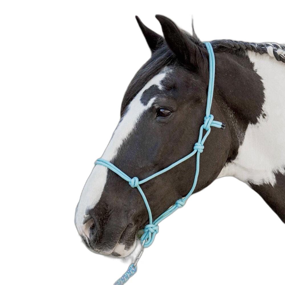 product/h/a/harry-s-horse_31000701-lichtblauw_lichtblauw_1.jpg
