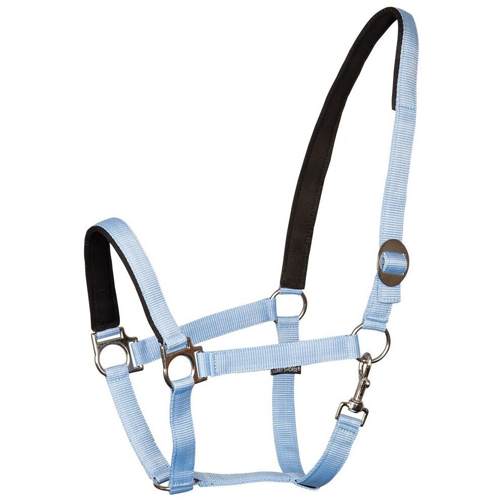 product/h/a/harry-s-horse_31000910-16.jpg