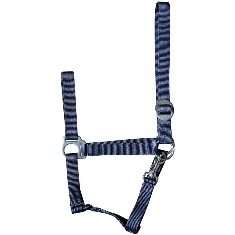product/h/a/harry-s-horse_31000925-002.jpg