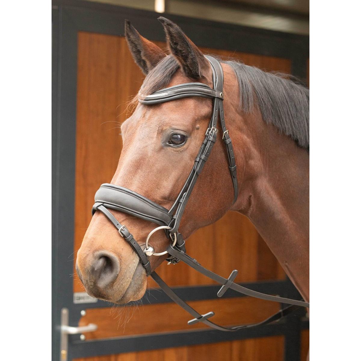 product/h/a/harry-s-horse_31008021-navy_navy_3.jpg