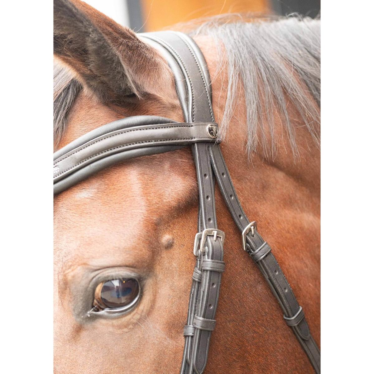 product/h/a/harry-s-horse_31008021-navy_navy_4.jpg