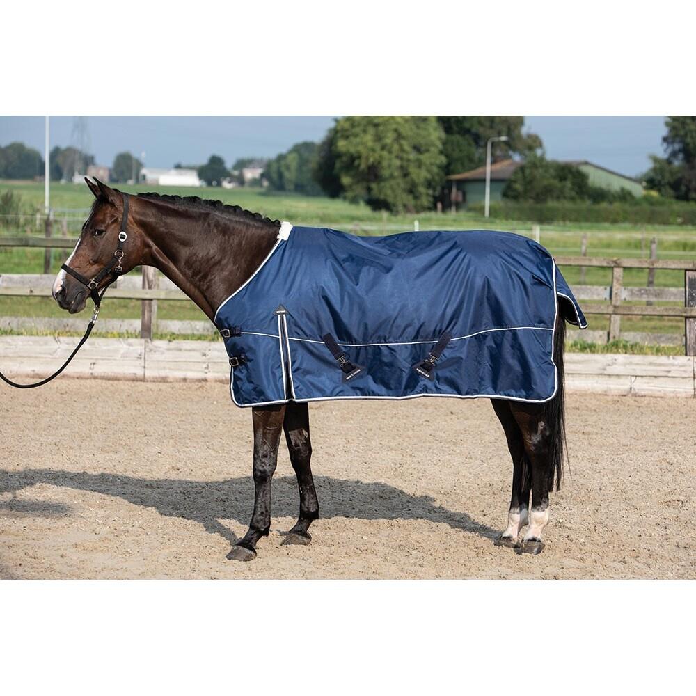 product/h/a/harry-s-horse_32201681-07.jpg