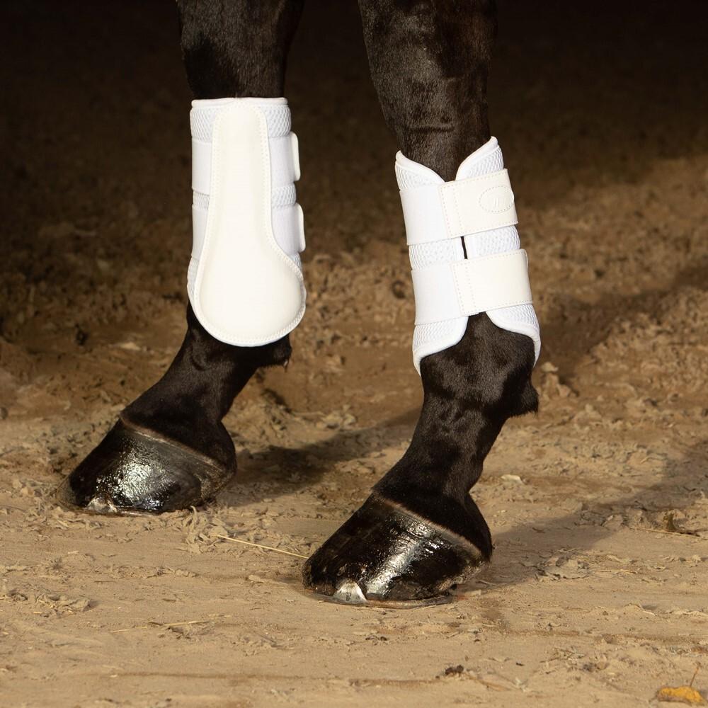 product/h/a/harry-s-horse_33201294-04_wit_2.jpg