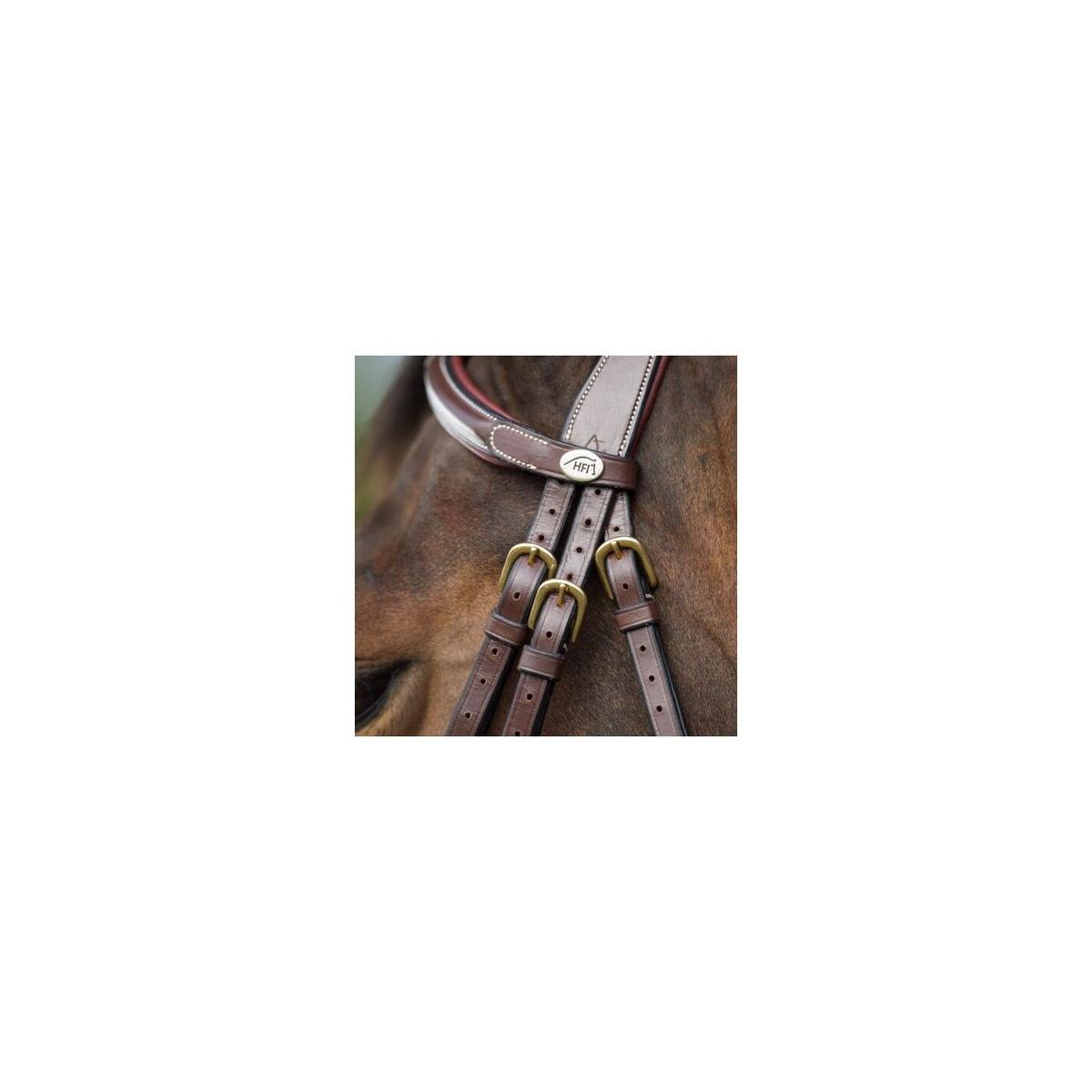 product/h/f/hfi006br_2.jpg