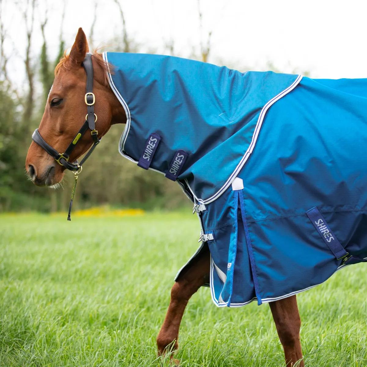 product/h/i/highlander-original_9354n-blue_blue_2.jpg