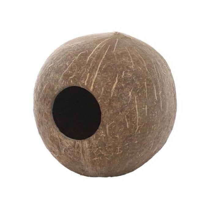 product/h/o/hobby_ho40220_marron_2.jpg