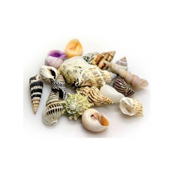 product/h/o/hobby_ho40221_multicolore_2.jpg