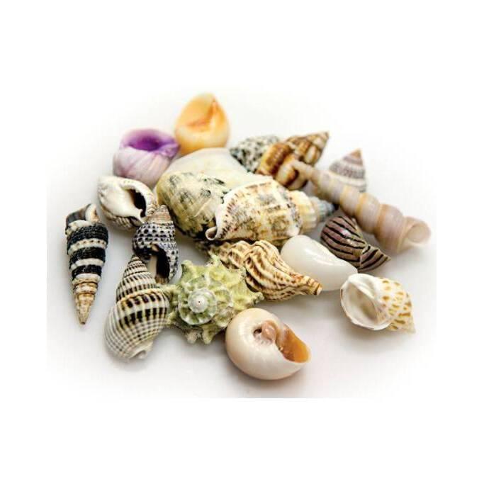 product/h/o/hobby_ho40224_multicolore_1.jpg