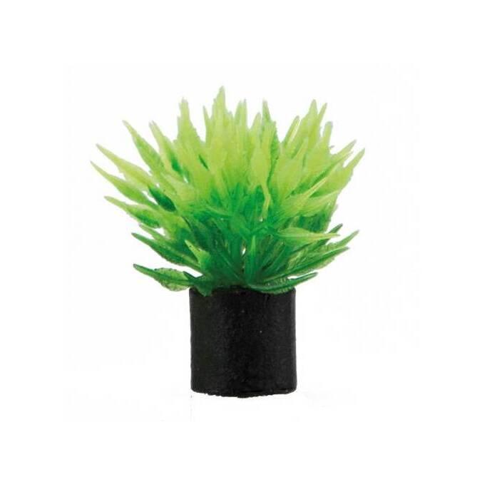 product/h/o/hobby_ho51549_vert_1.jpg