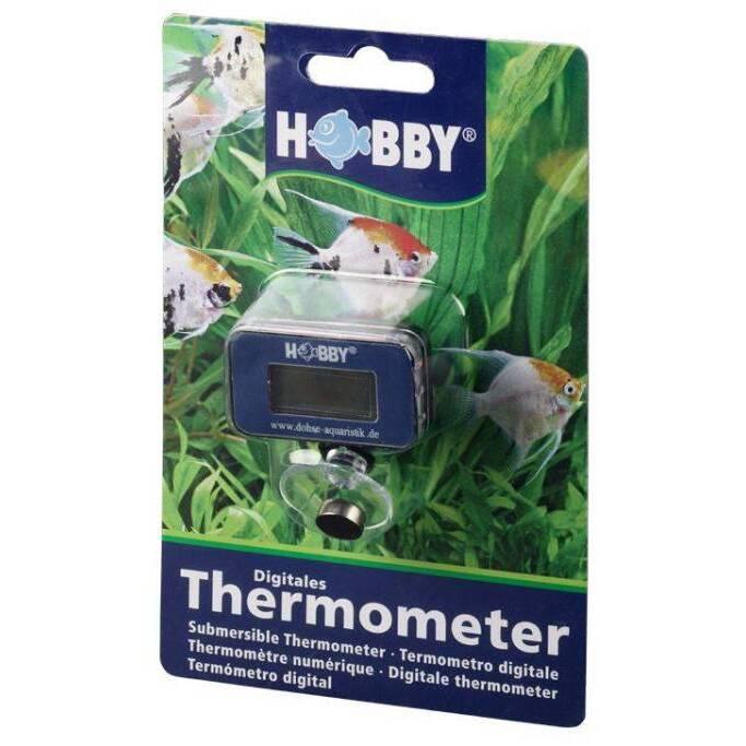 product/h/o/hobby_ho60495_bleu_2.jpg