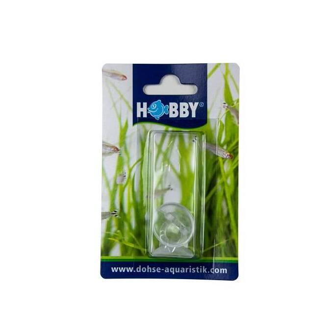 product/h/o/hobby_ho61751_argente_1.jpg