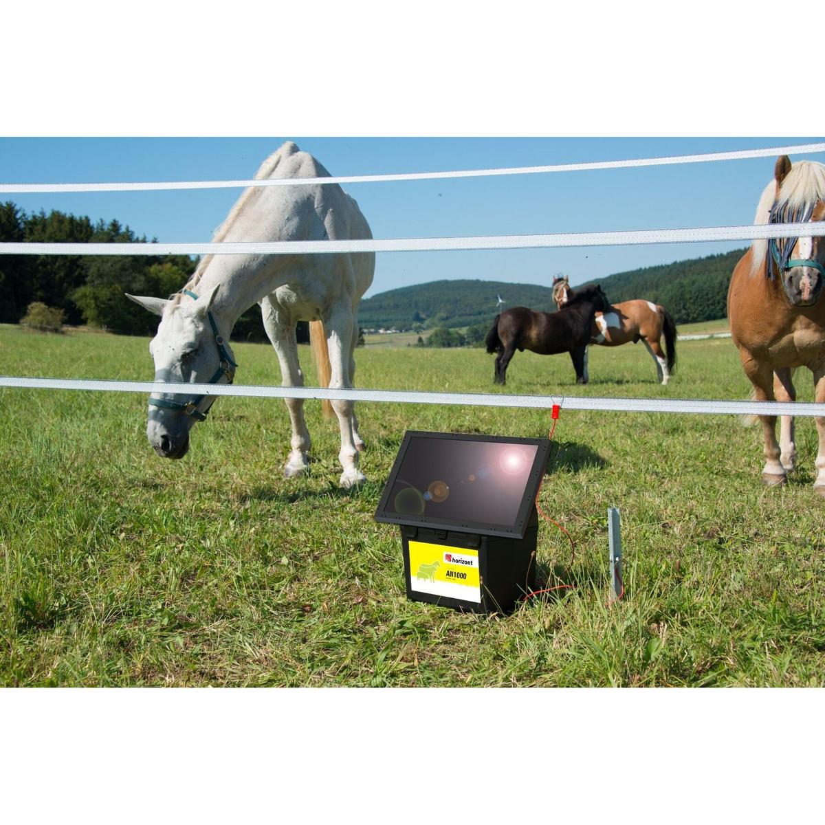 product/h/o/horizont_125h10855_noir-jaune_5.jpg