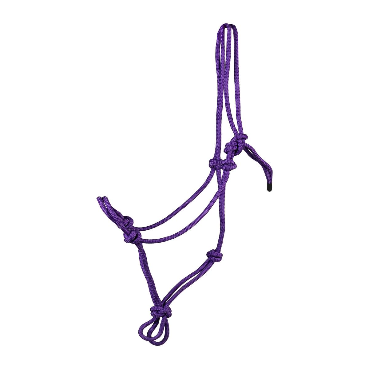 product/h/o/horka_180241-13_violet_1.jpg