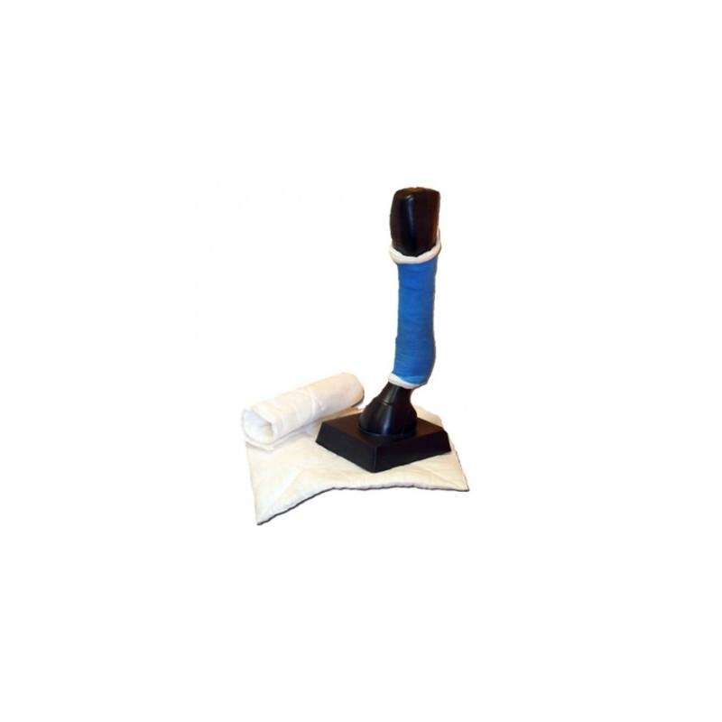 product/h/o/horse-master_999091635.jpg