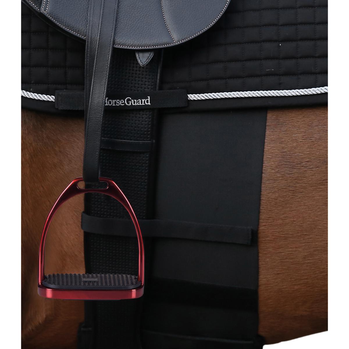 product/h/o/horseguard_23870_1.jpg
