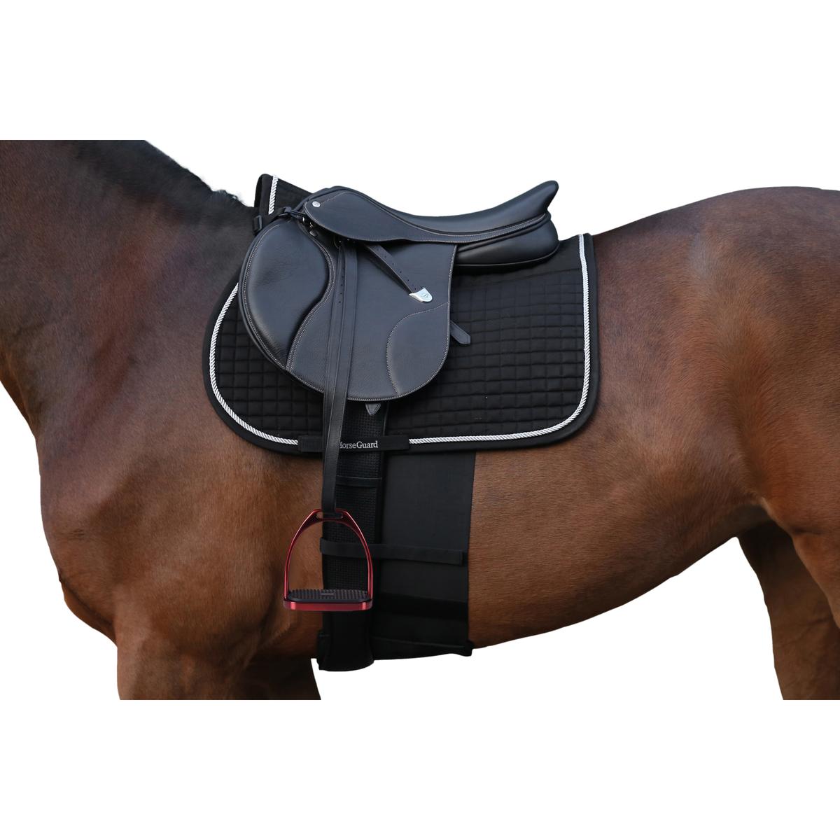 product/h/o/horseguard_23870_2.jpg
