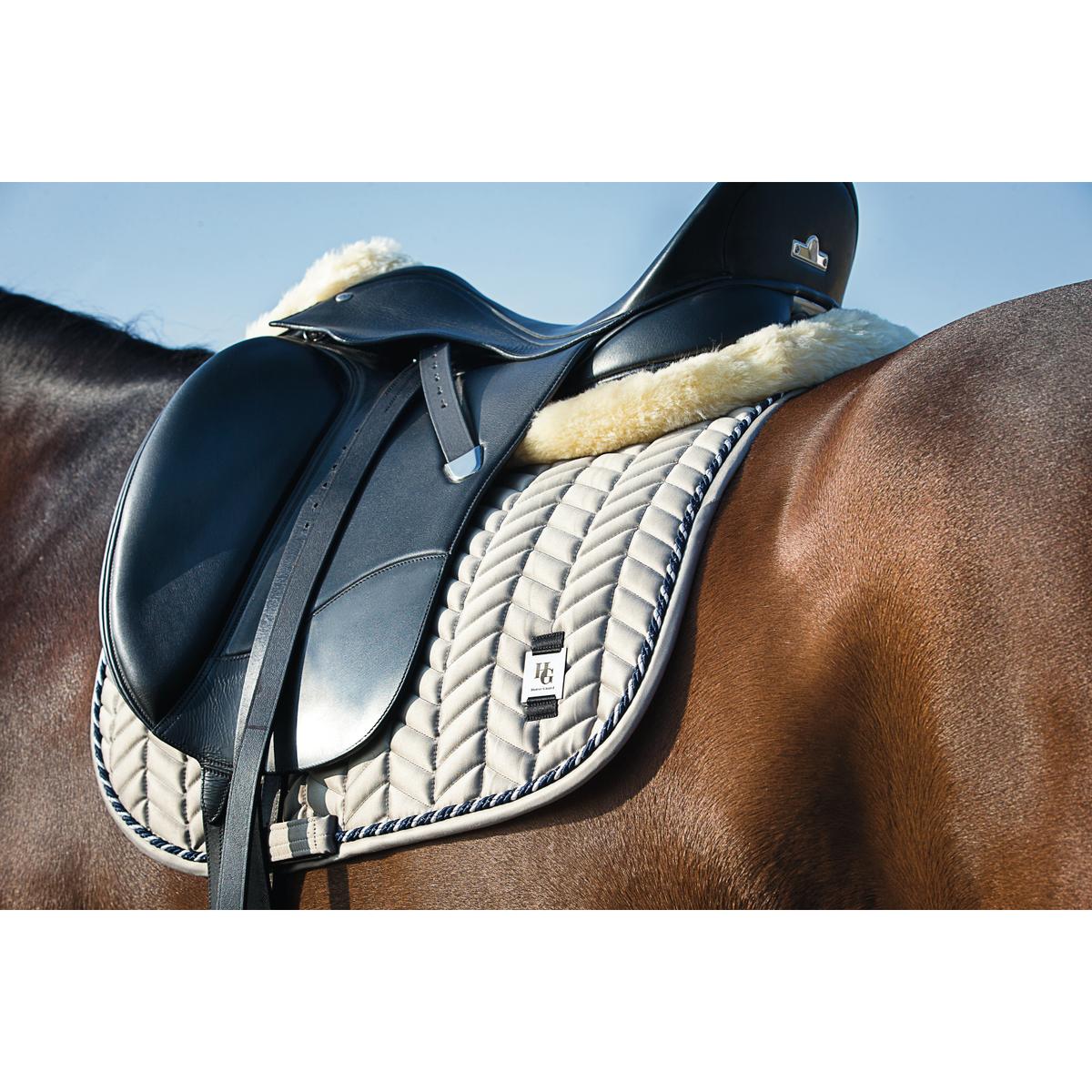 product/h/o/horseguard_25226_2.jpg