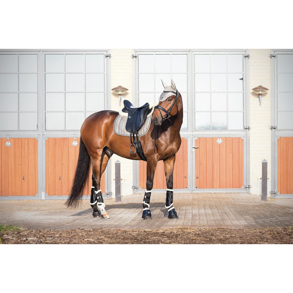 product/h/o/horseguard_25226_3.jpg