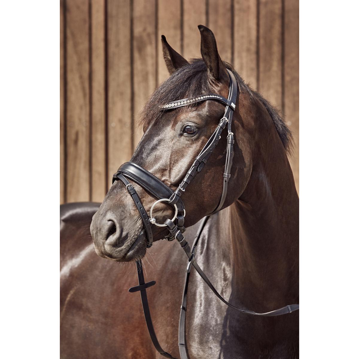 product/h/o/horseguard_27276_2.jpg