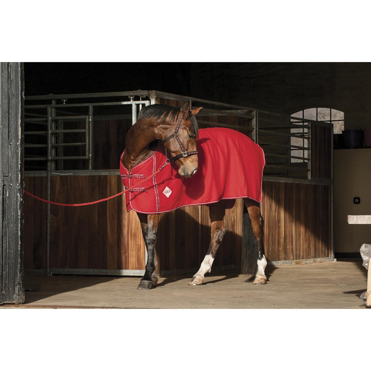 product/h/o/horseguard_492302504_2.jpg