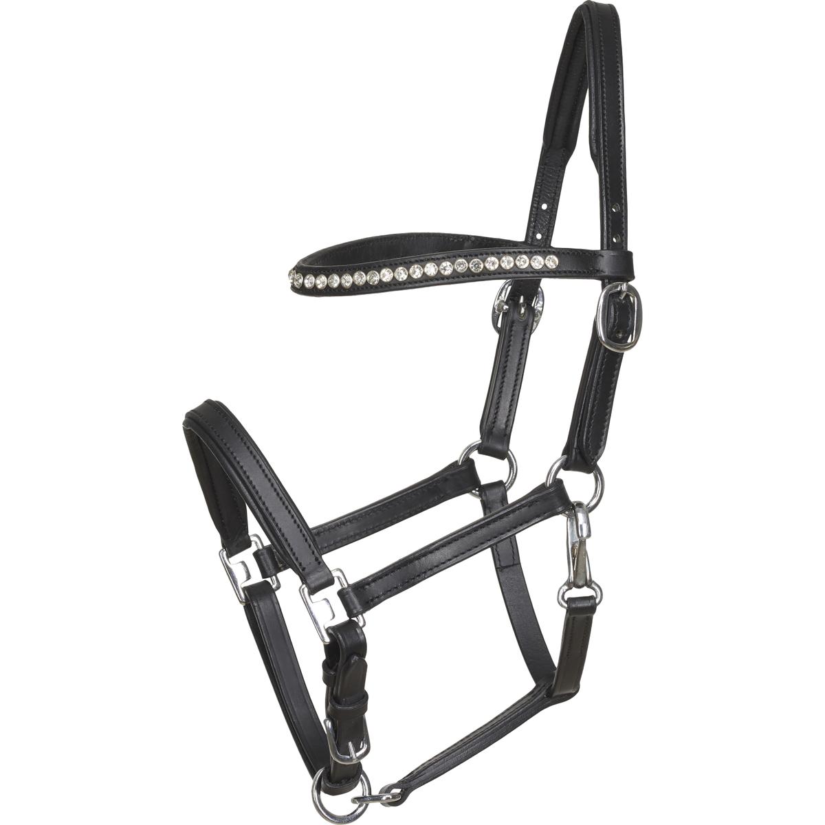 product/h/o/horseguard_500030501.jpg