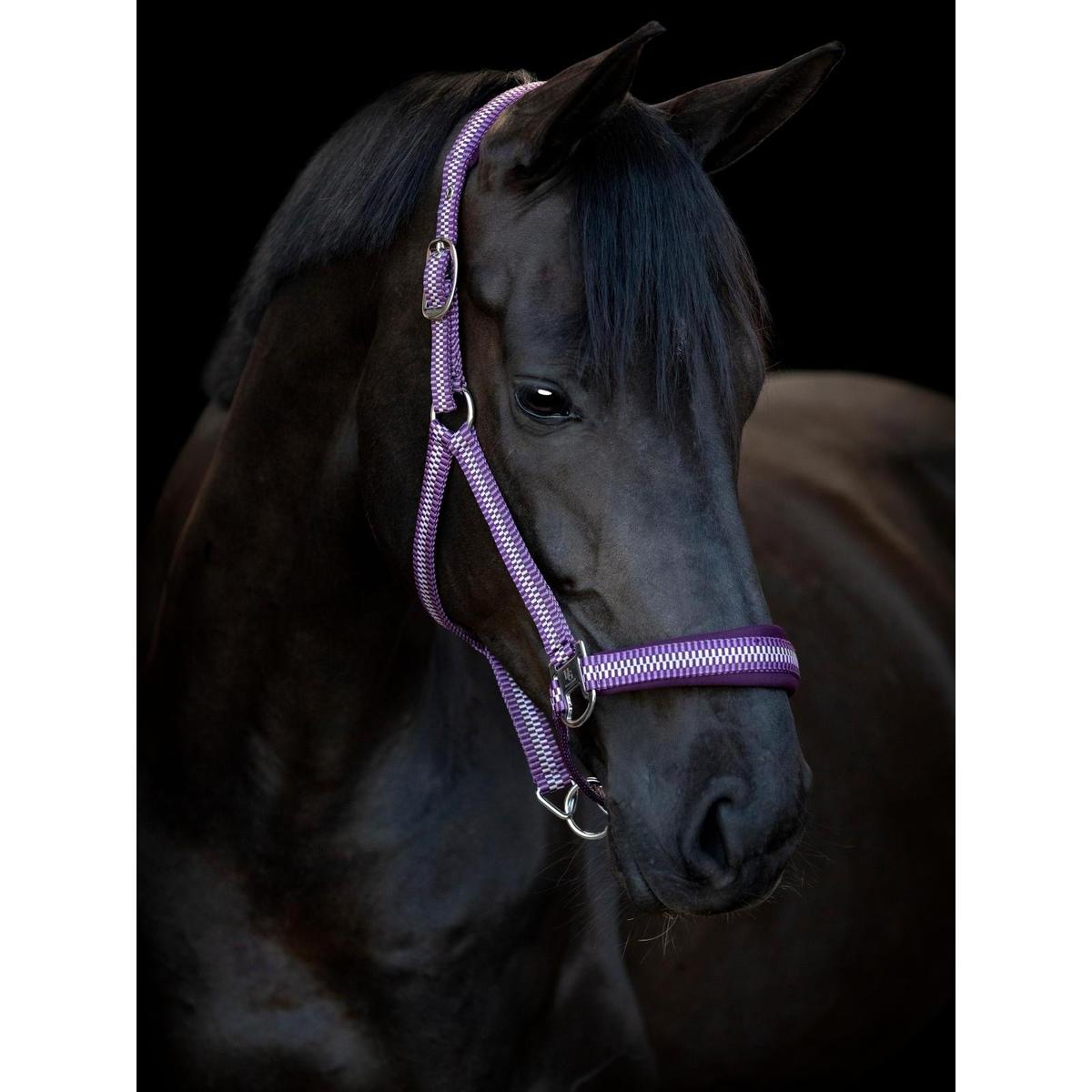 product/h/o/horseguard_50043200107_italian-plum_3.jpg