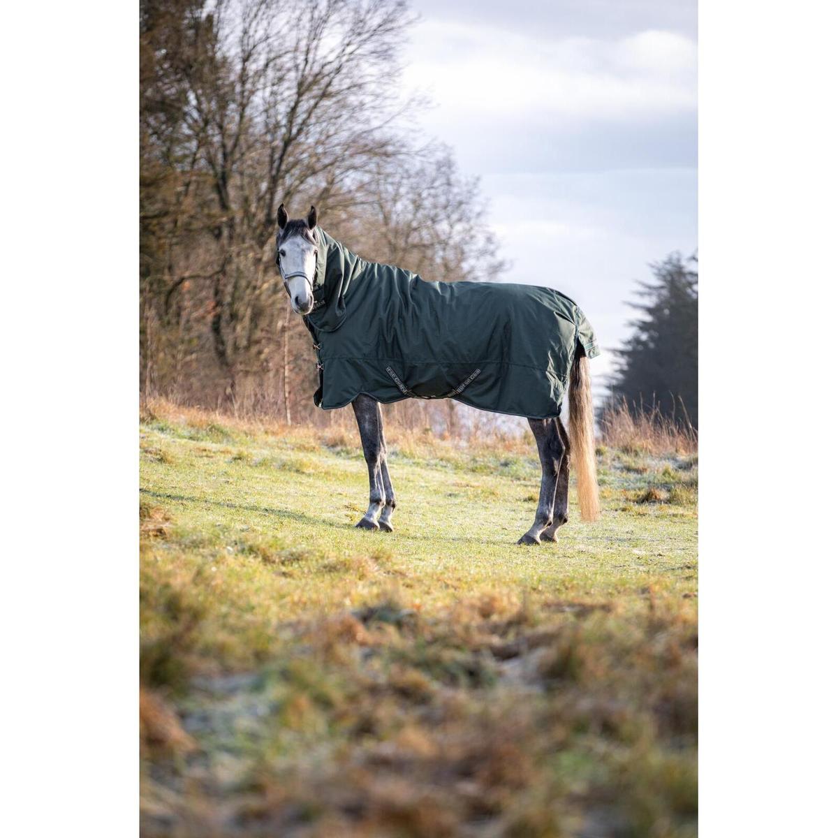 product/h/o/horseguard_504246597_darkest-spruce_2.jpg