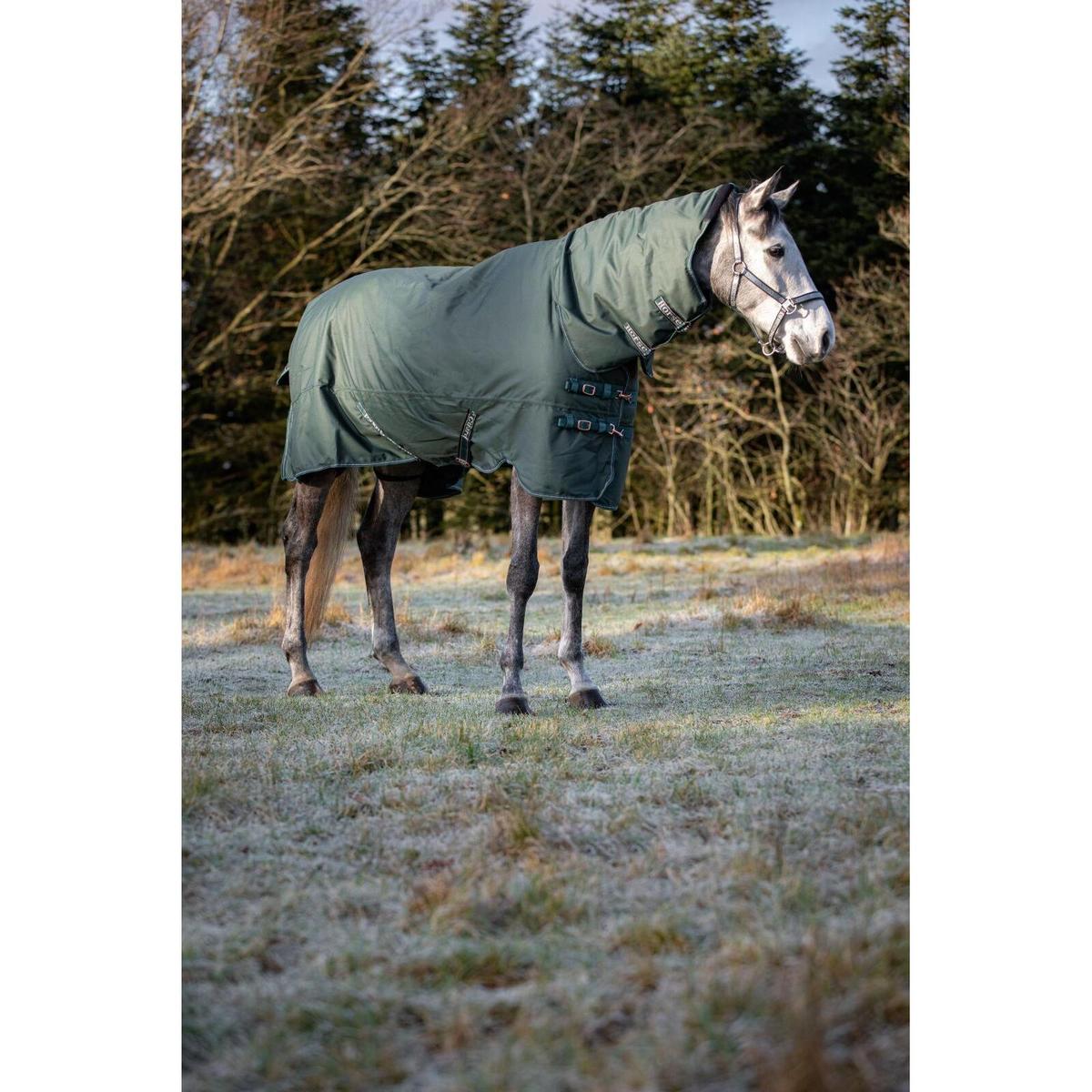 product/h/o/horseguard_504246597_darkest-spruce_3.jpg