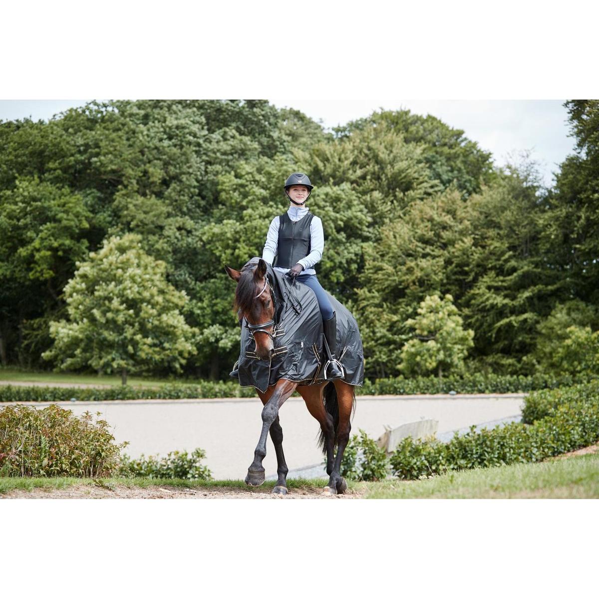 product/h/o/horseguard_504941501_black_3.jpg