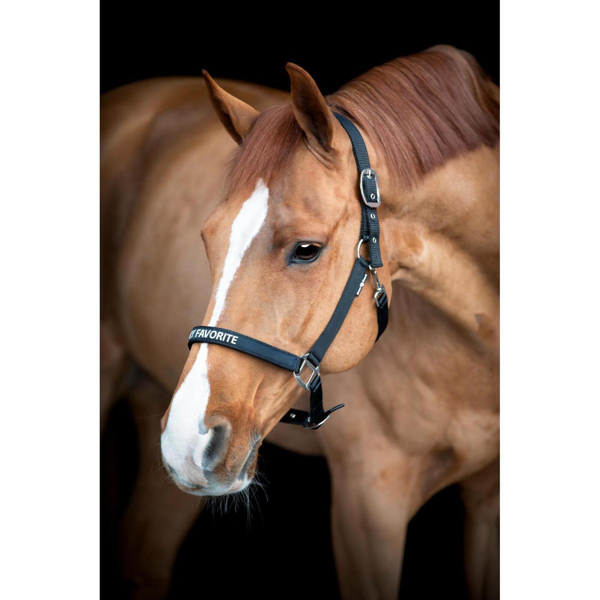 product/h/o/horseguard_504992001_black_2.jpg