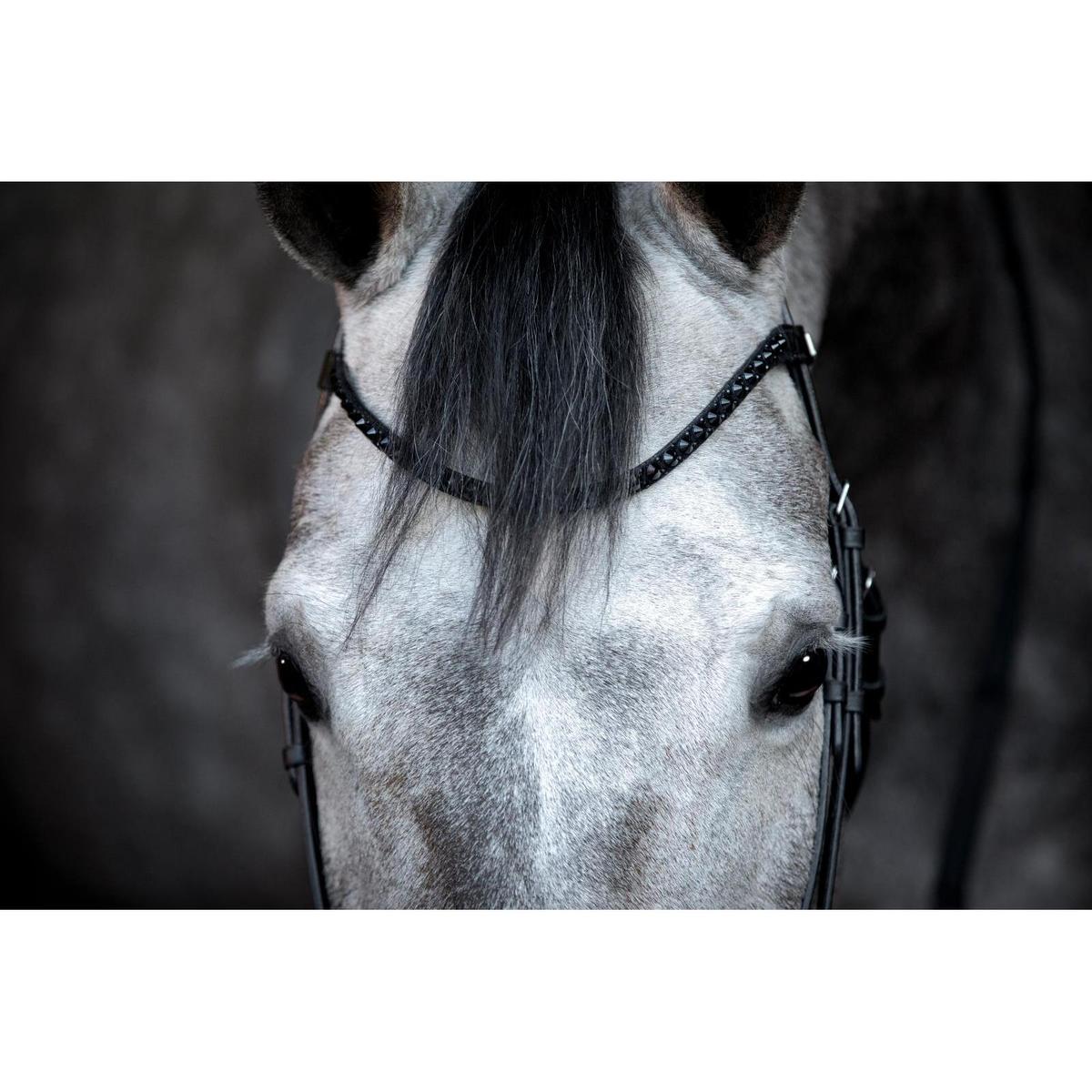 product/h/o/horseguard_505482001_black_2.jpg